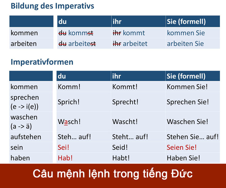 cau menh lenh trong tieng duc