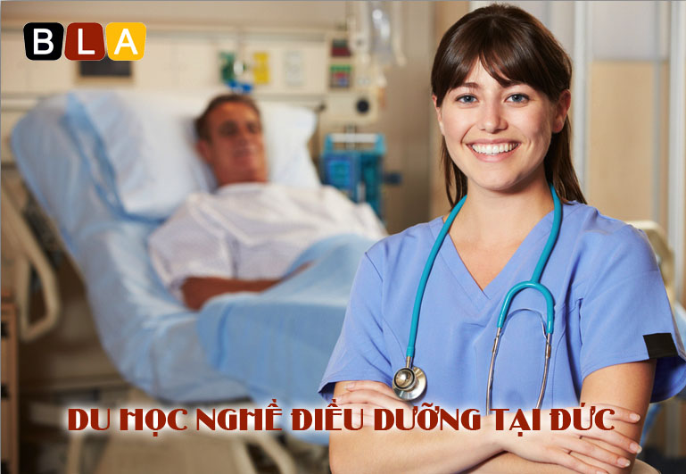 du hoc nghe dieu duong duc