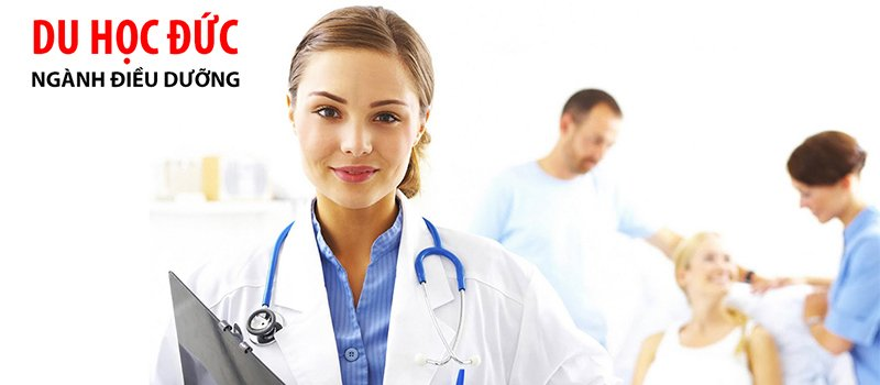 trung tam du hoc duc tai quang binh