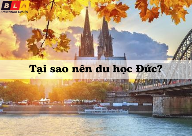 tai sao nen du hoc duc